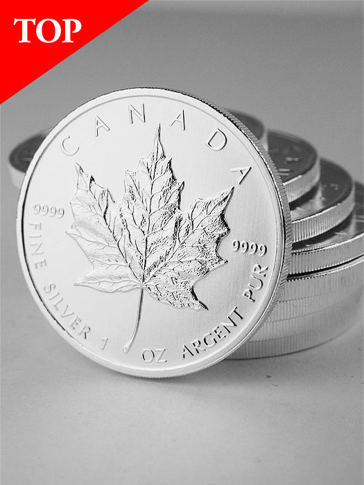 2013 Canada Maple Leaf 1 oz Silver Coin