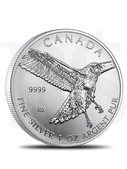 2015 Canada Red-Tailed Hawk 1 oz Silver Coin