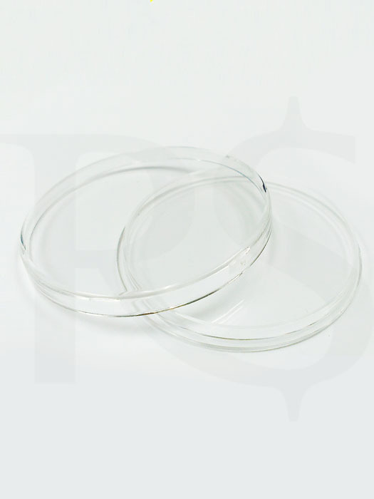 Coin Capsules 39mm (Pack of 10)