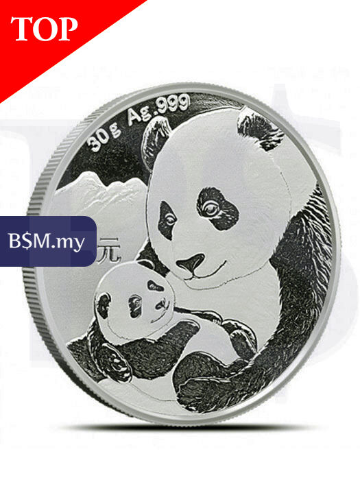 2019 Chinese Panda 30 grams Silver Coin