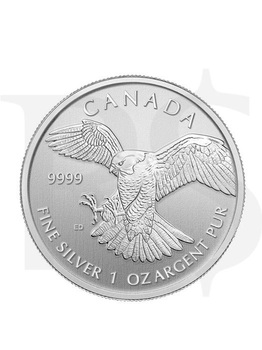 2014 Canada Peregrine Falcon 1 oz Silver Coin