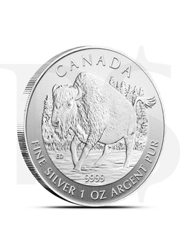 Canadian Wildlife Series: Wood Bison 1oz Silver Coin