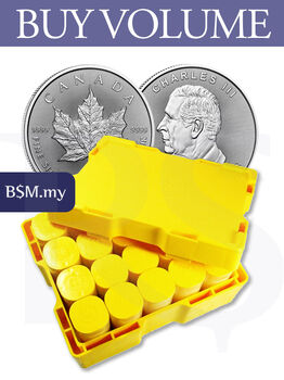 Canada Maple Leaf Silver Coin Monster Box (500 oz)