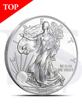 2014 American Eagle 1 oz Silver Coin (with Capsule)